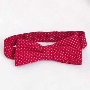 Mustard Pie Red/Silver Polka Dot Bow Tie